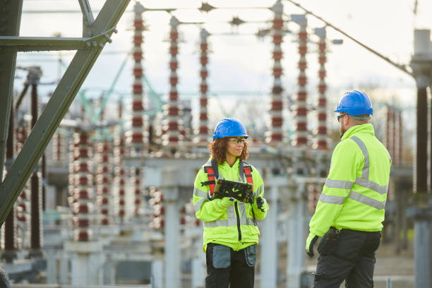 Best Generator Installation Services  in Seneca, IL