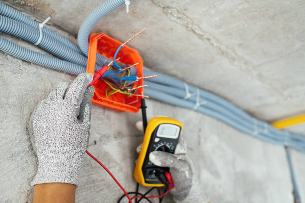 Best Electrician for Home Renovation  in Seneca, IL