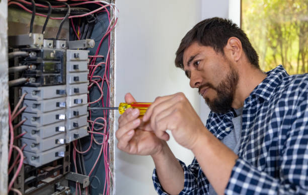 Best Electrical System Inspection  in Seneca, IL